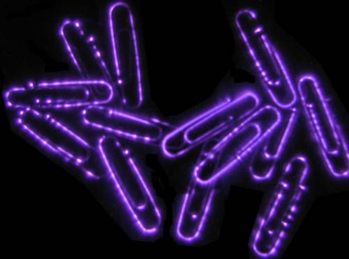 Kirlian photograph of paper clips